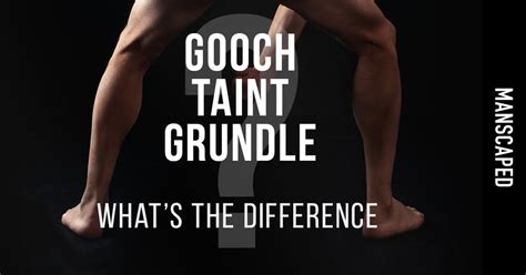 what is a gooch on the human body|What Is A Gooch On The Human Body